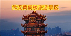 鸡巴插骚逼青春视频